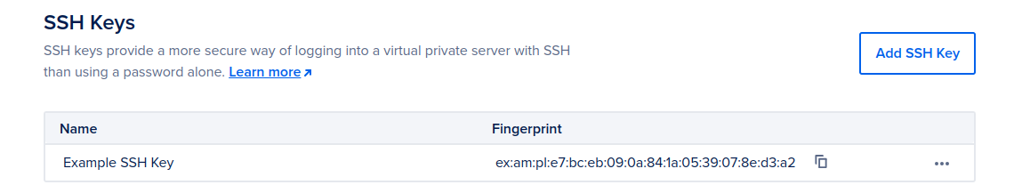 The SSH Key section of the team security page with one key listed