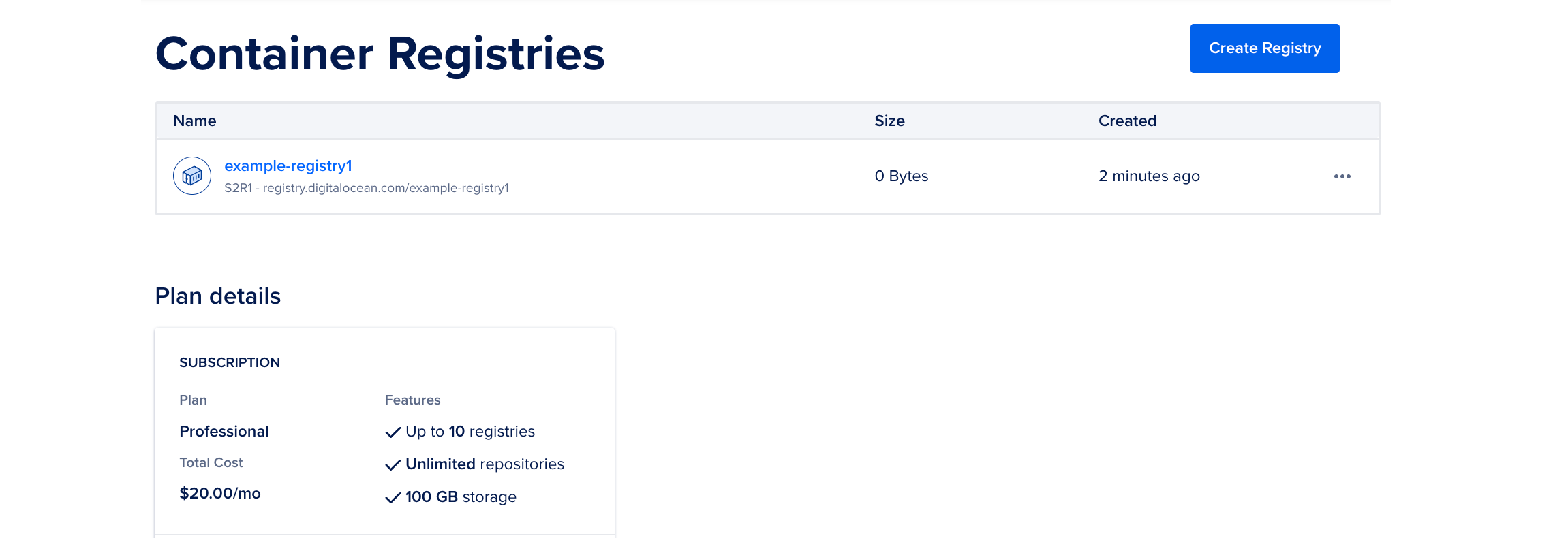 Container Registries page showing a registry with its region, size, and creation time, followed by plan details.