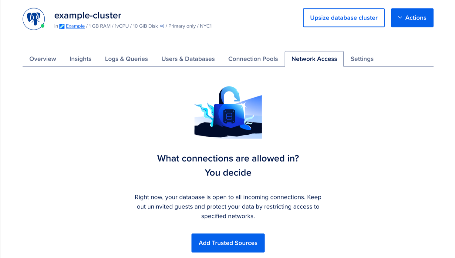 The Network Access page for an example cluster.