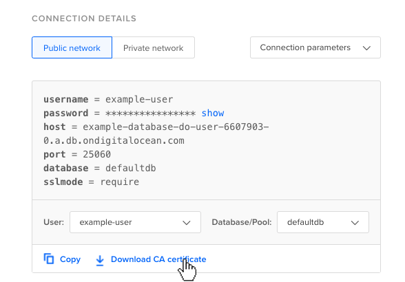 Databases connection details with Download CA Certificate selected