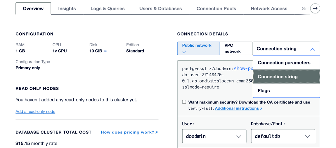 Screenshot of the connection string in the Control Panel