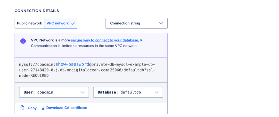 The Connection Details section of the Overview page showing the database's private connection string.