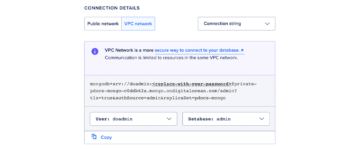 View the private connection string.