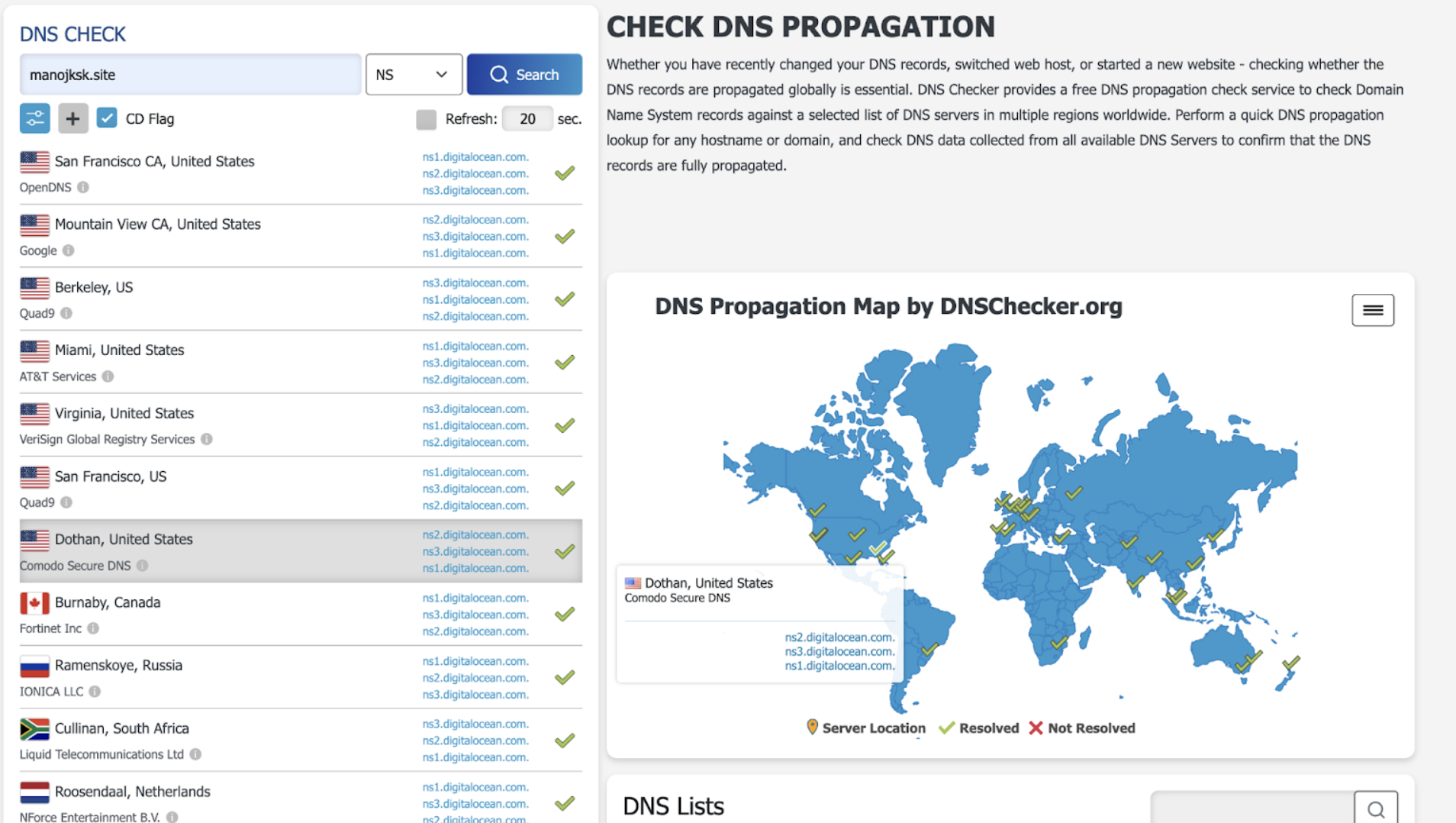 global DNS checker