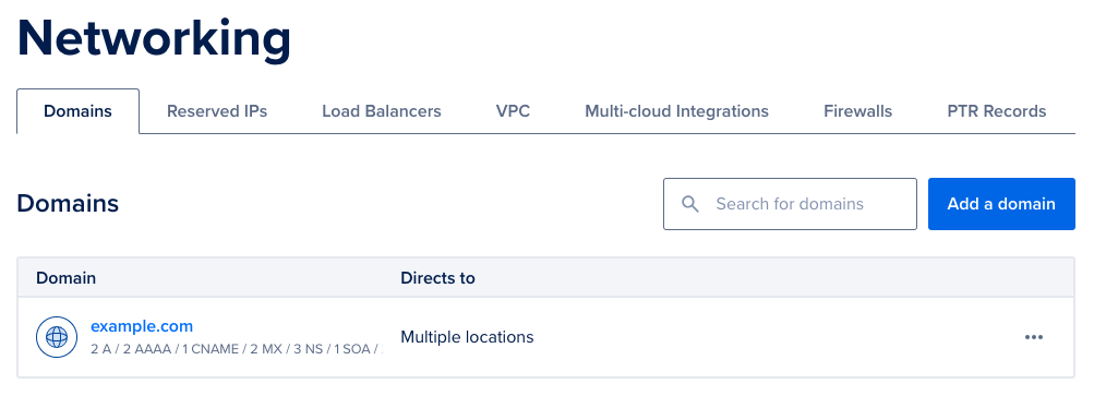 Domain records page with example records.
