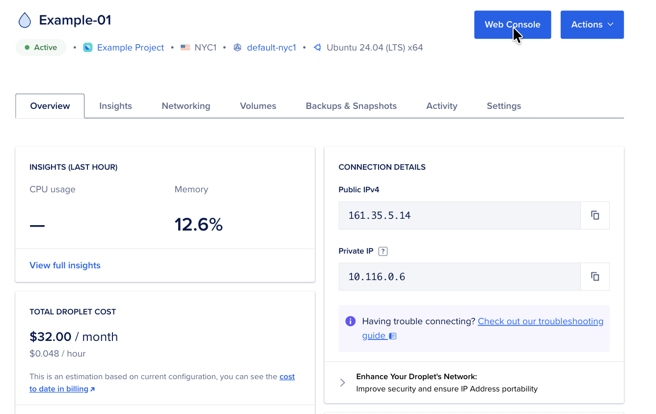 Droplet detail page Overview tab with Web Console button at the top, Insights summary, Connection Details, and tab navigation.
