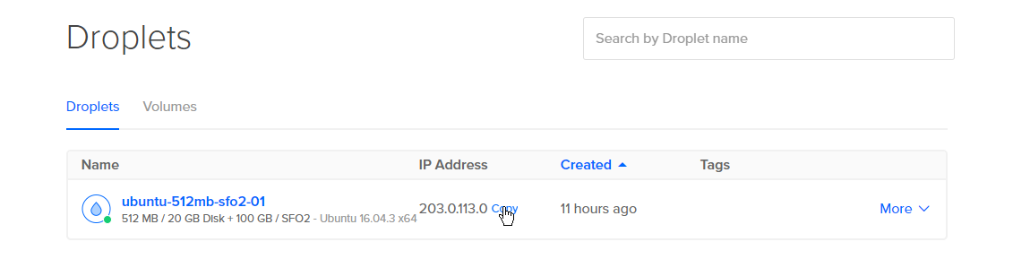 Screenshot of the IP address with the copy link highlighted