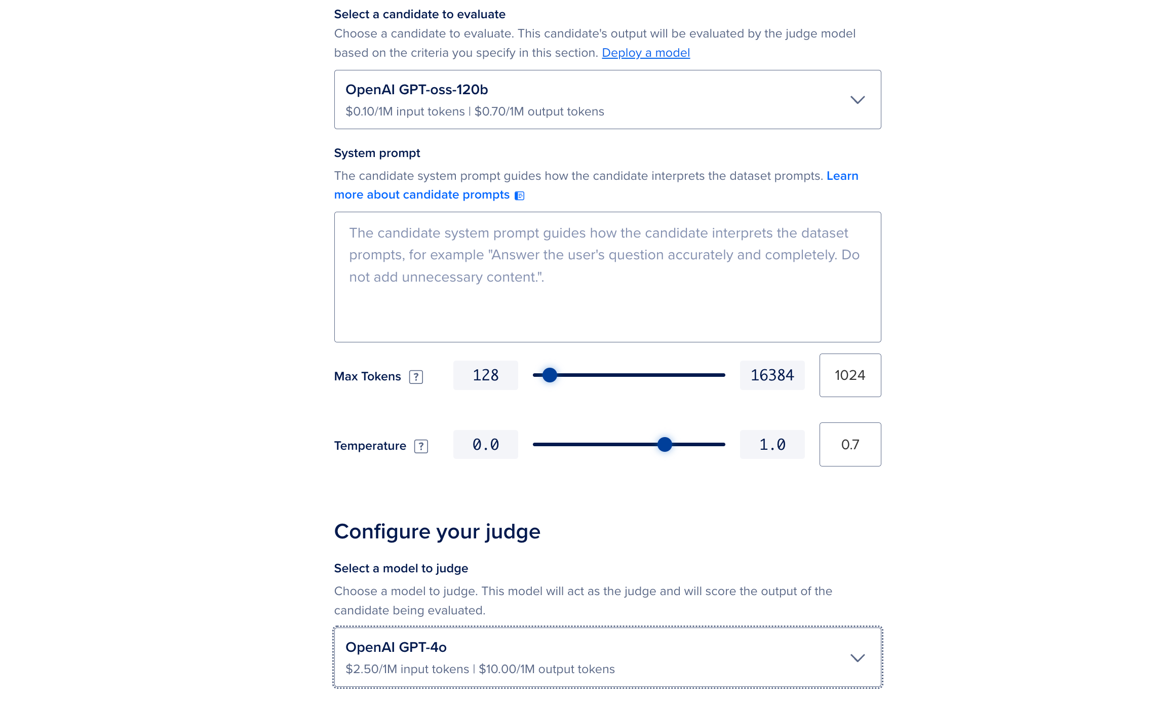 Selected candidate and judge model for evaluation