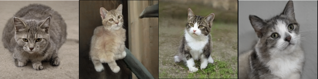 Example dataset images displaying four cat photos used as sample data.
