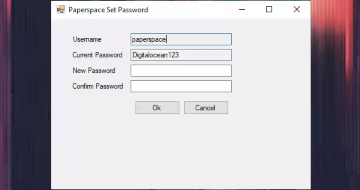 The Paperspace Set Password app of the Paperspace Password Tool with Windows password revealed.