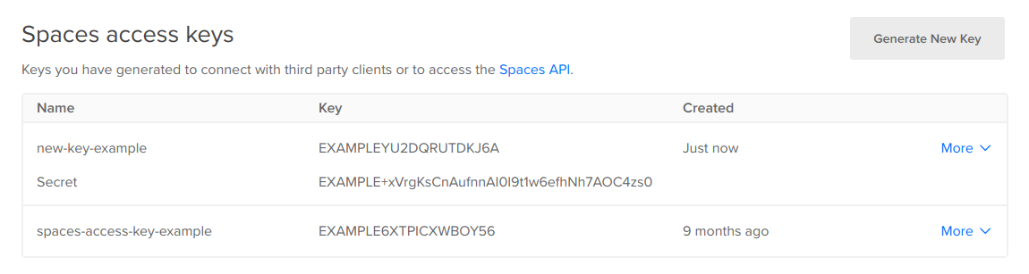 A newly-created Spaces access key with the secret key visible