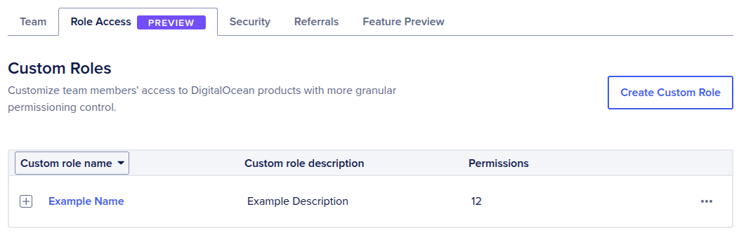 Role Access tab showing custom roles with their names, descriptions, and permission counts.