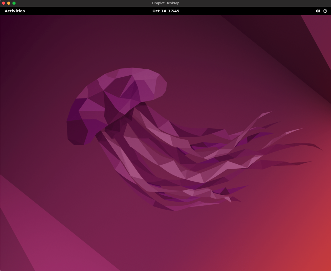 Droplet with Ubuntu Desktop running on it