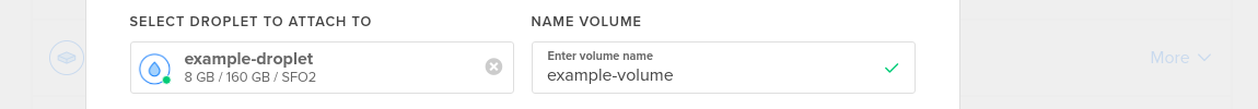The select Droplet to attach to and name volume sections of the volume creation window