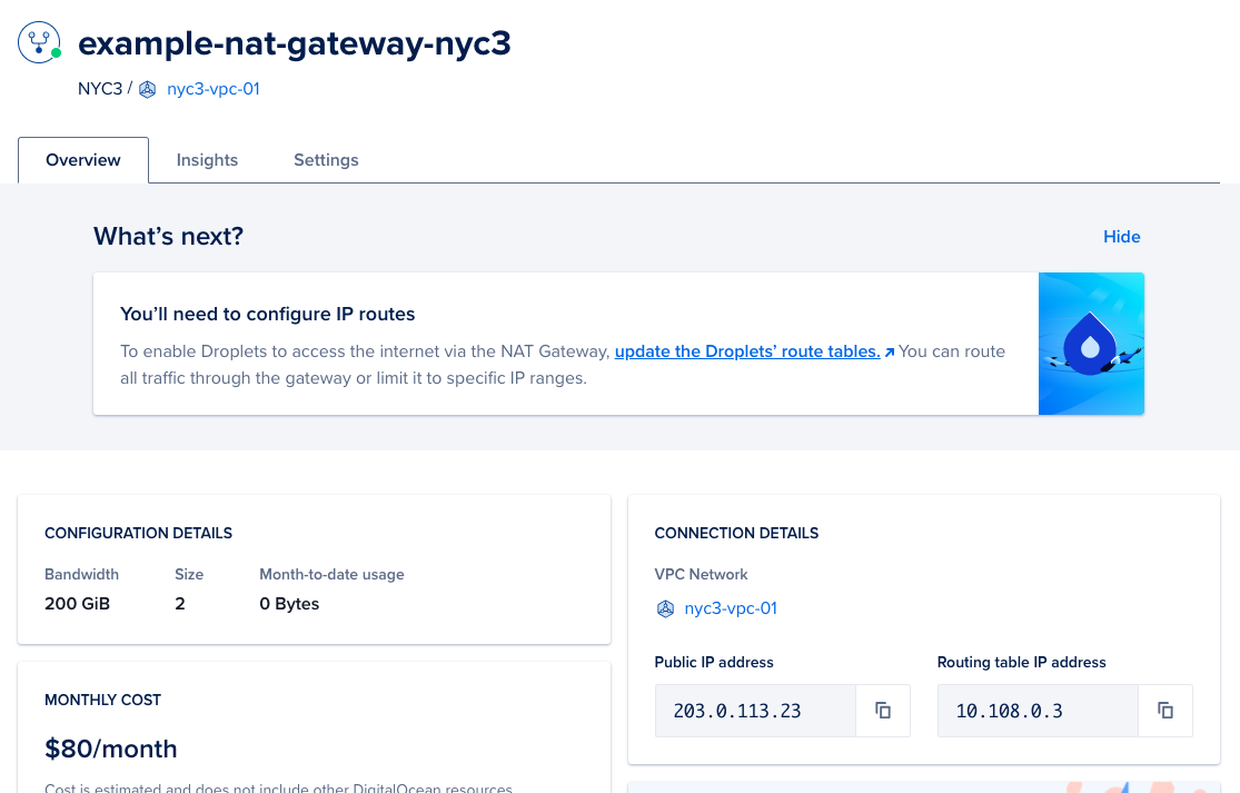 NAT Gateway overview tab showing configuration details, monthly cost, associated VPC network, public IP address, and routing table IP address.